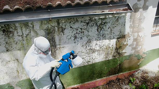 Top rated local Mold Remediation specialists in Oreland, PA